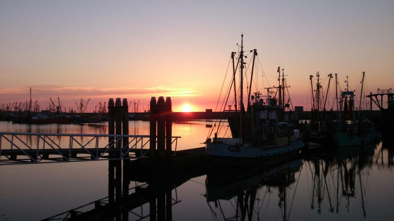Wad Else Villa Lauwersoog Kültér fotó